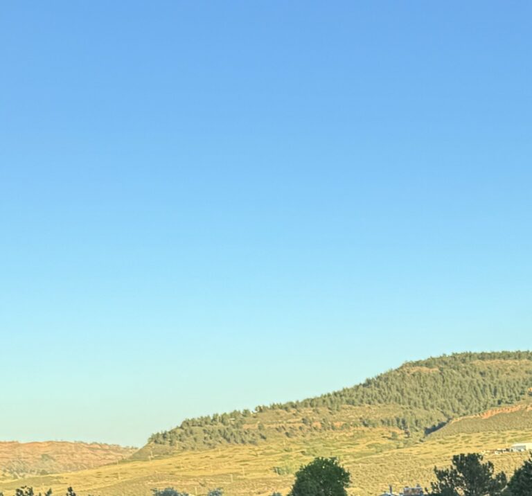 Photo that is 3/4 clear blue sky, and 1/4 the distant, treed foothills of the Rockies